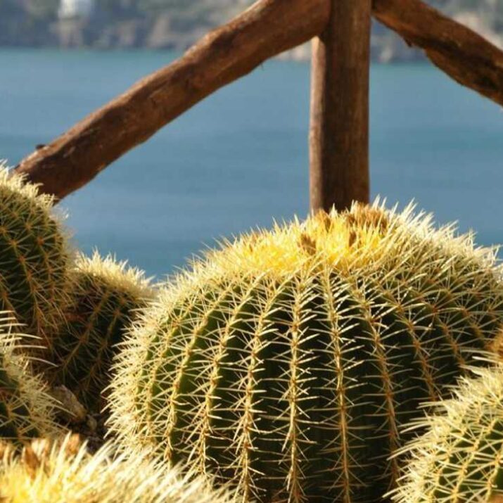Maiori Botanical Garden