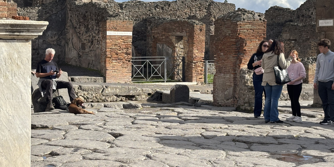 Pompeii Guided Tours